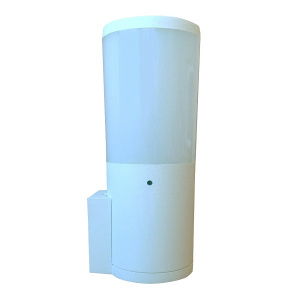 Настенный уличный светильник (DR2.570.000.WYF1R) Fumagalli AMELIA WALL, 1х6W LED-FIL (800 Lm/2700К)